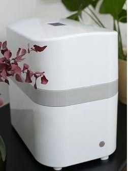 Aura Cebilon Eco